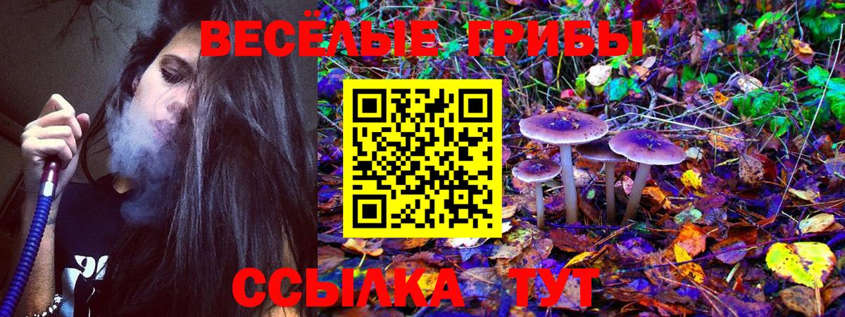 Галлюциногенные грибы мицелий  где купить наркотик  Санкт-Петербург  Вход с VPN 