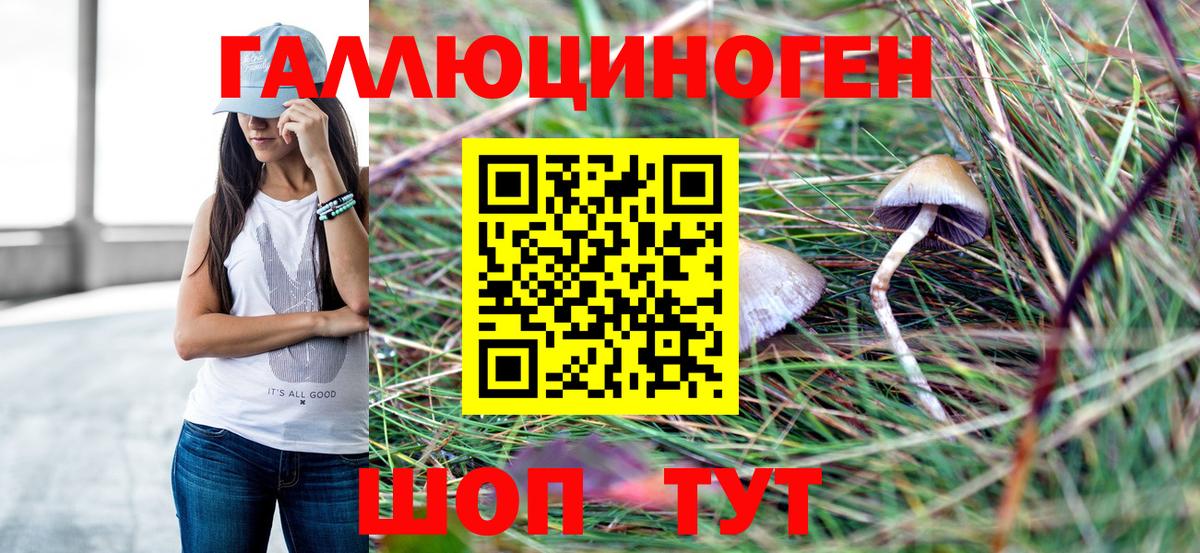 Санкт-Петербург  NBOMe  Мефедрон кристаллы  Вход с VPN  МДМА  ГАШИШ  A PVP СК кристаллы  LSD-25  Гашиш  Конопля 